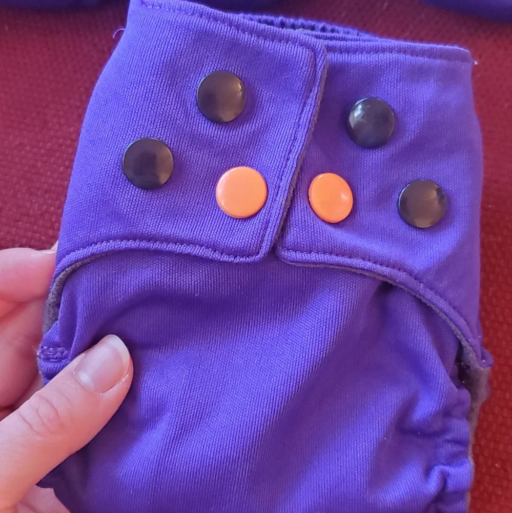 Cloth Diapers Lot of 6 w/ Organic Cotton Inserts